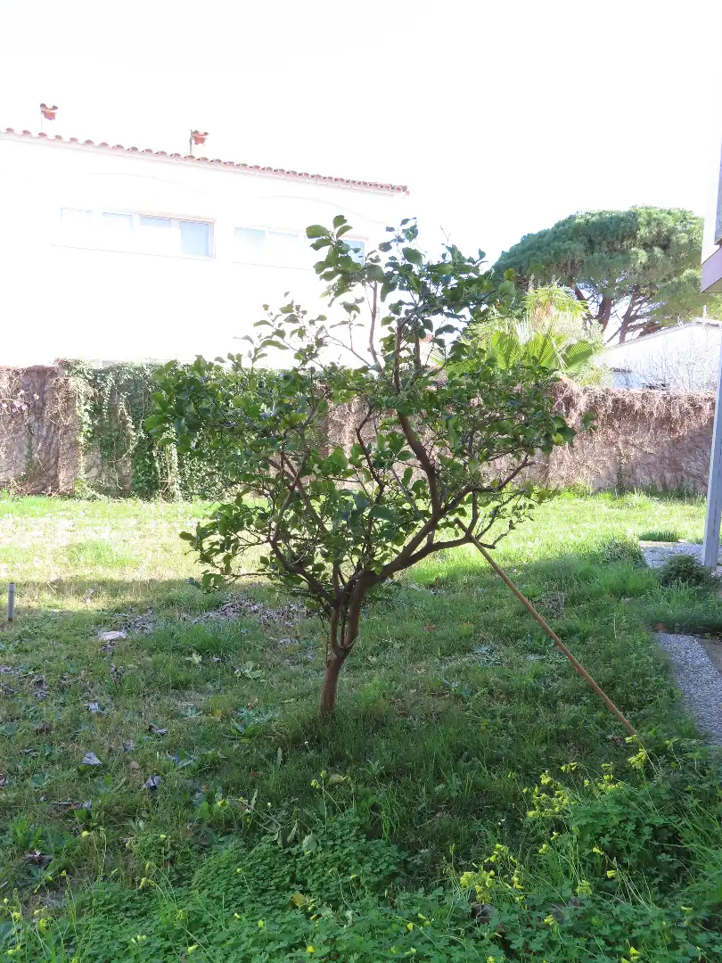 Jardín de Piso en venta en Empuriabrava con Jardín privado, Terraza y Amueblado