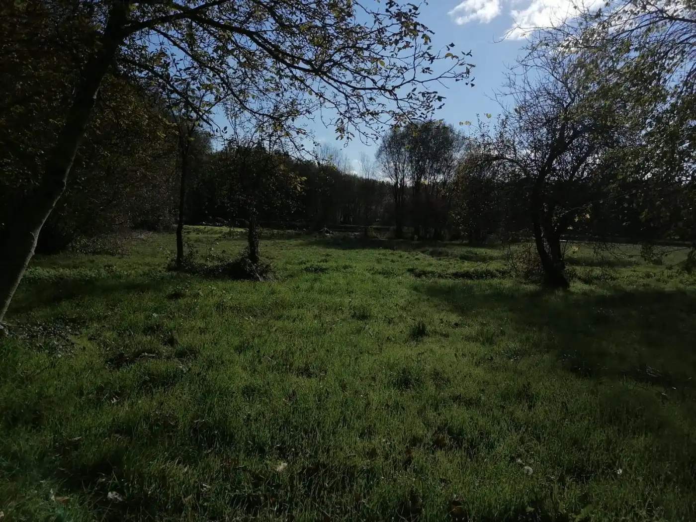 Terreni e lotti in vendita a Castro de Rei, imagen 7