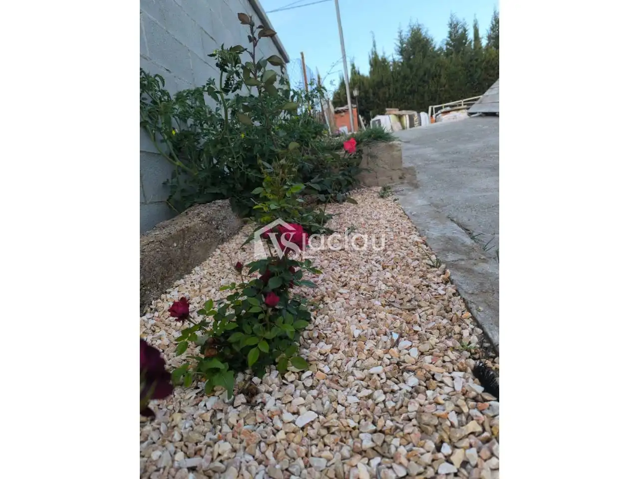 Casa con jardín en venta en Olesa de Montserrat, imagen 5