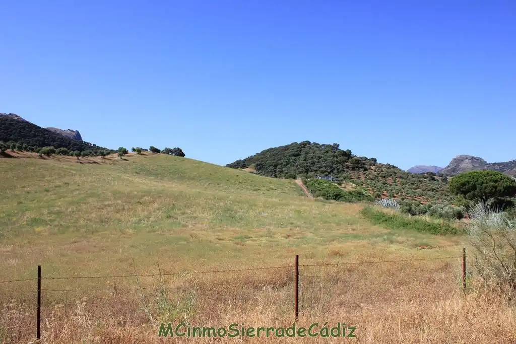 Finca rústica en venta en Montecorto