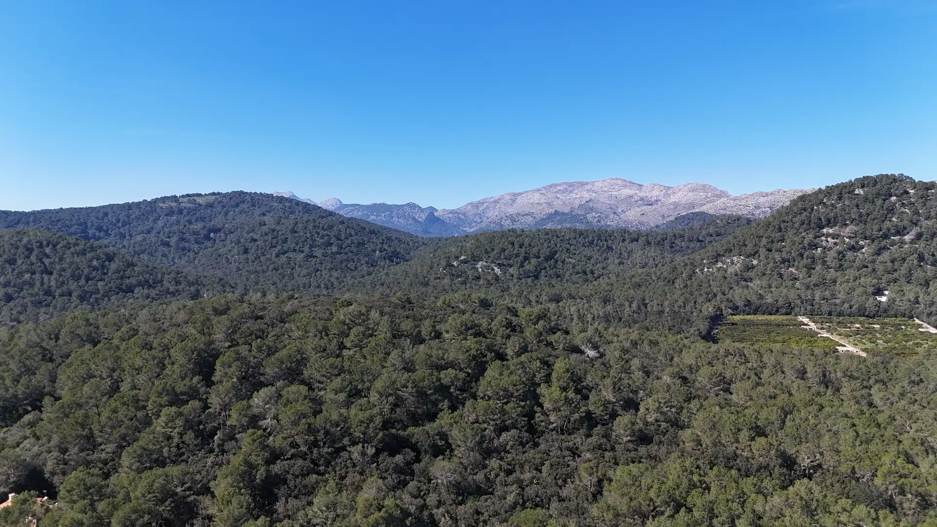 Terrenys i solars en venda a Sa Pobla, imagen 16