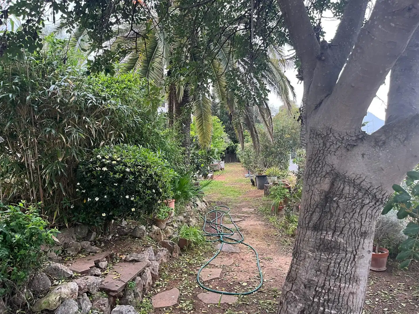 Casa en venta en Cap Martí - El Tossalet - Pinomar, imagen 33