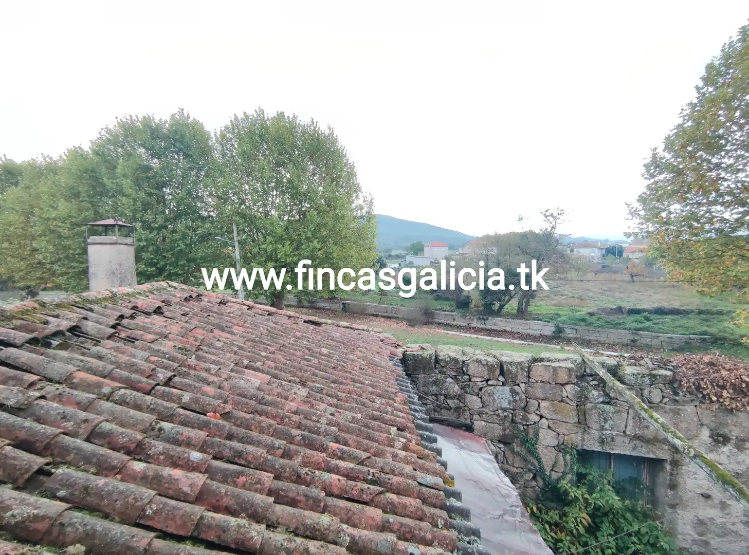 Casa con jardín en venta en Monterrei, imagen 5