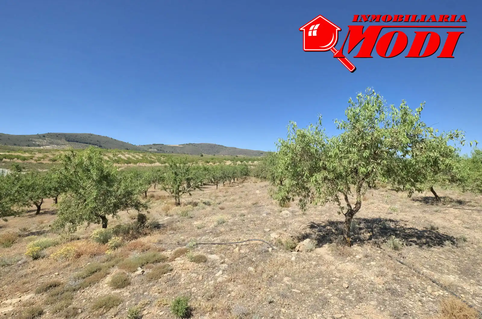 Casa rústica amb jardí en venda a Villamena, imagen 37