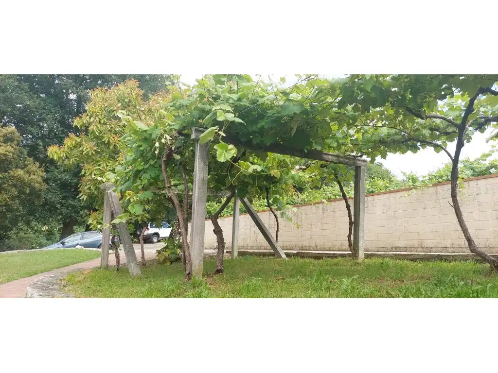Jardín de Casa o chalet en venta en Silleda