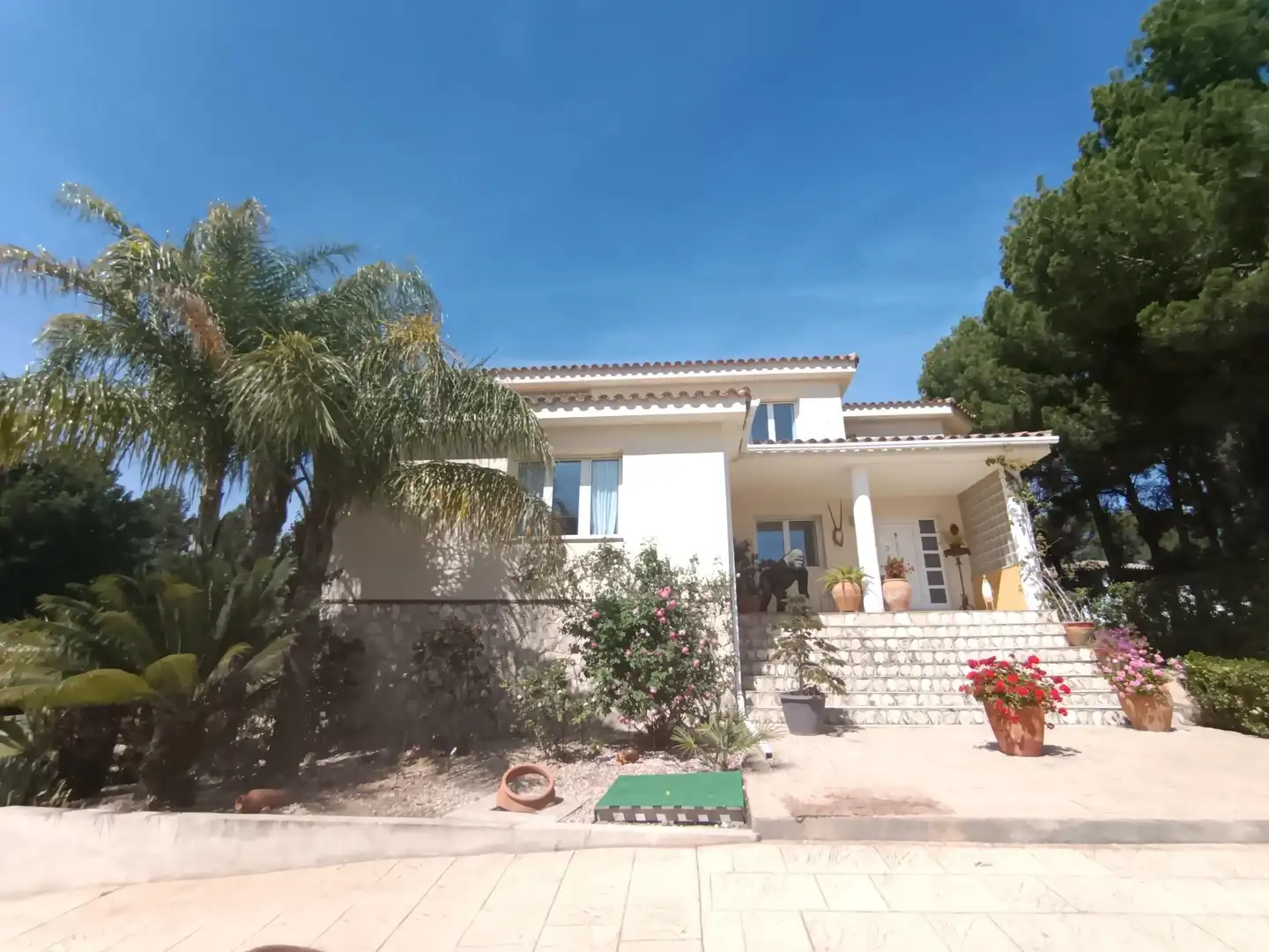 Villa con terrazza in vendita a Sant Jordi d'Alfama, imagen 48