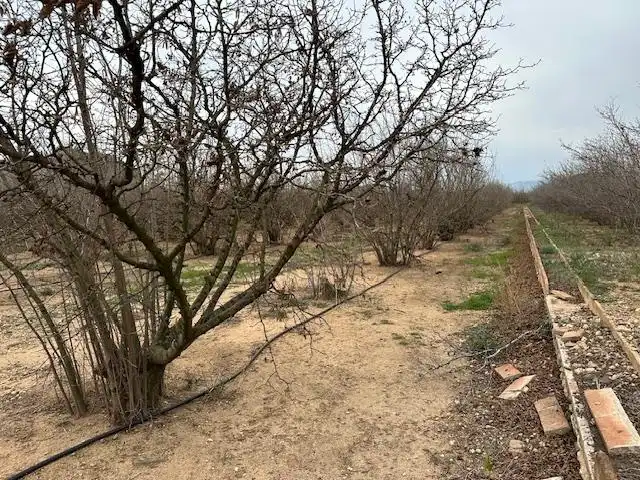 Terrenys i solars en venda a PDA PLANES DEL ROQUÍS POL 3 PARC. 47, imagen 6