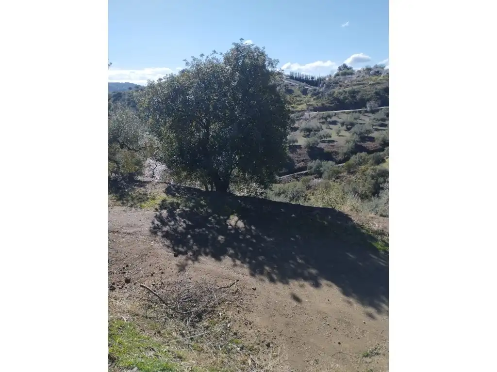 Casa o chalet en venta en Riogordo