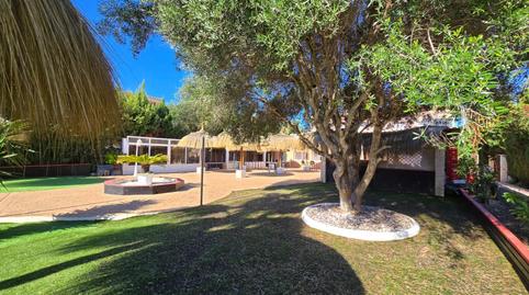 Photo 4 of Premises to rent in Sa Torre, Illes Balears