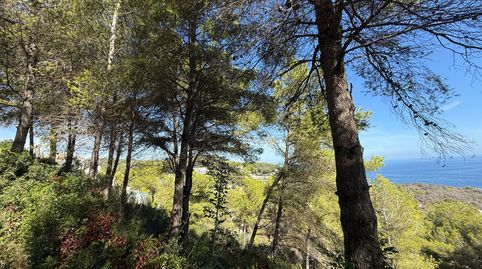 Foto 3 de Residencial en venta en Cap Martí - El Tossalet - Pinomar, Jávea / Xàbia
