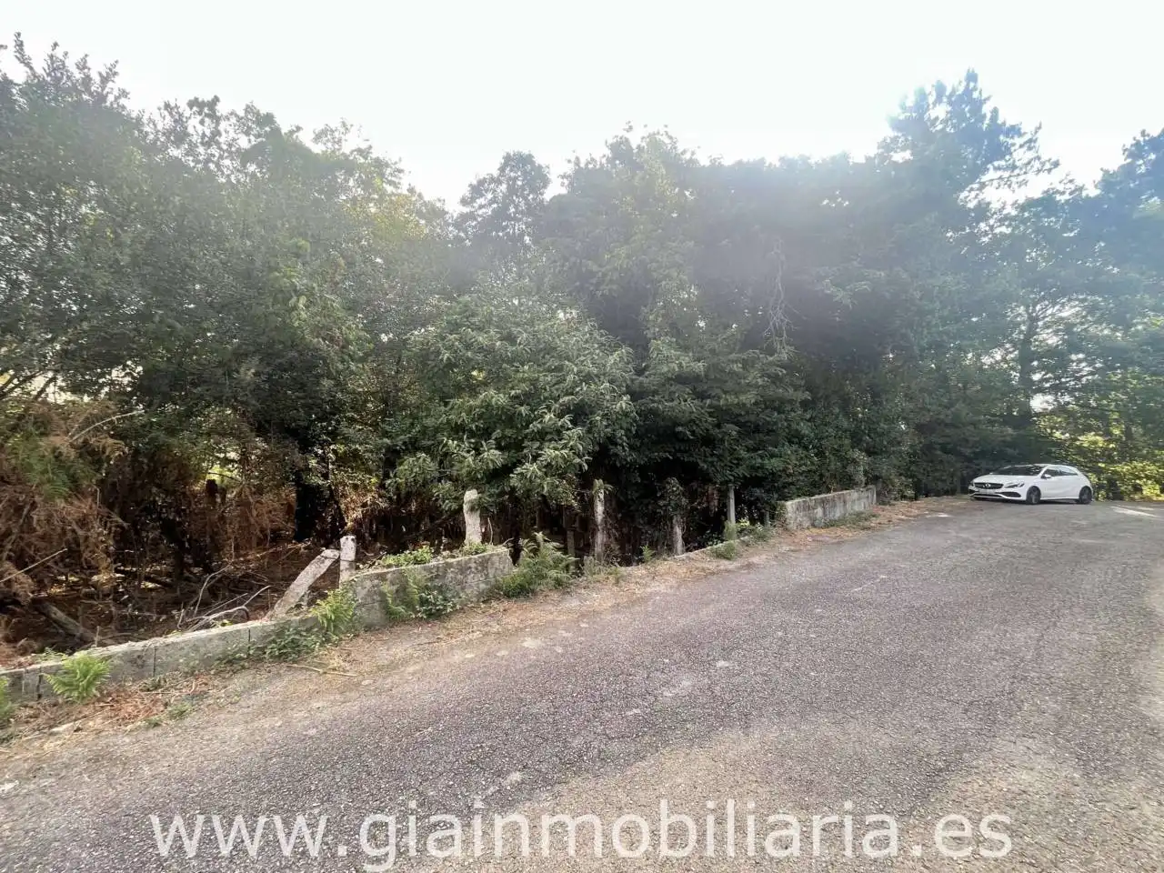 Terreny rústic en venda a Camino Pregal 5, imagen 7