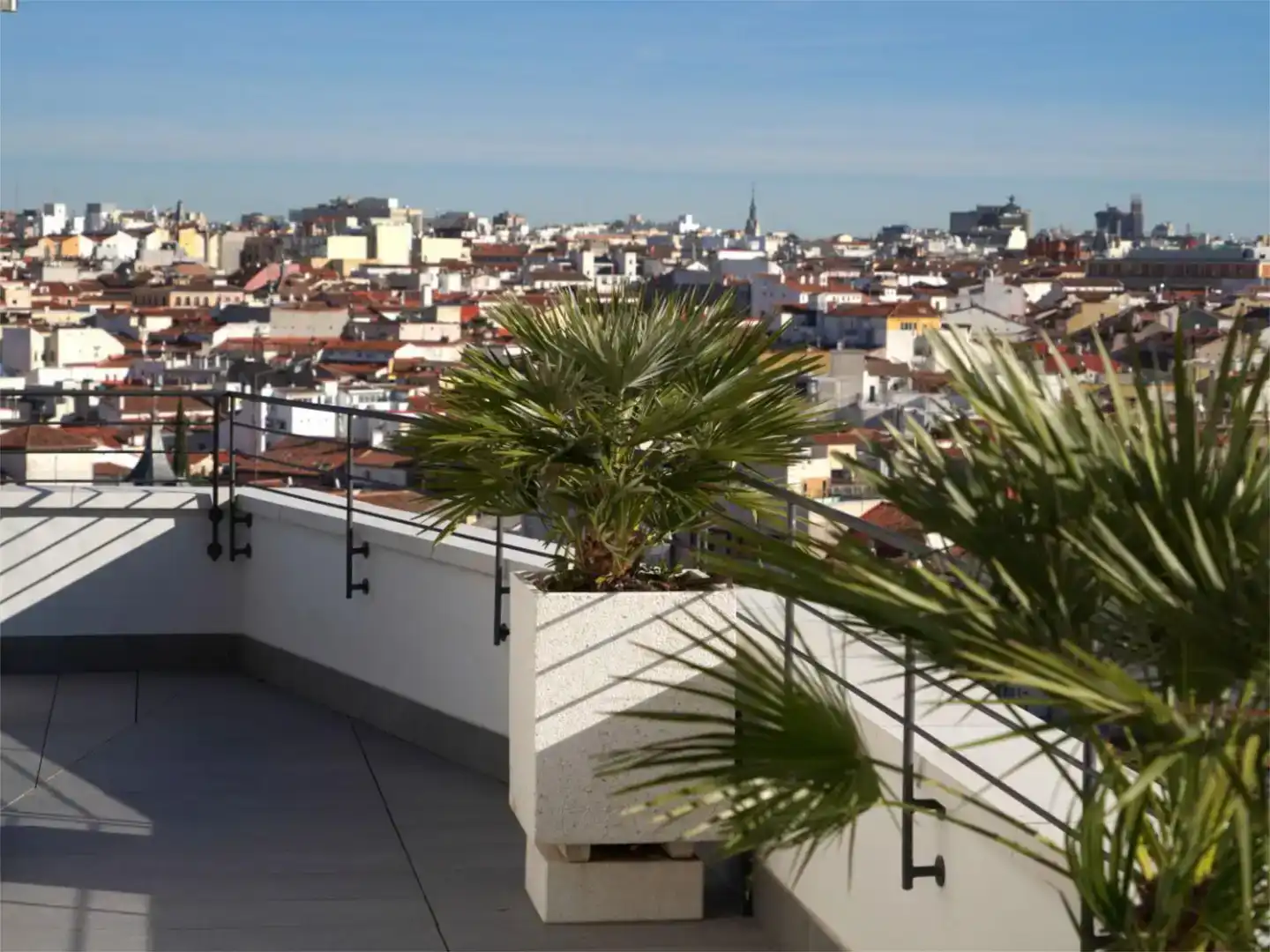 Terrasse von Wohnung zur Miete in Centro