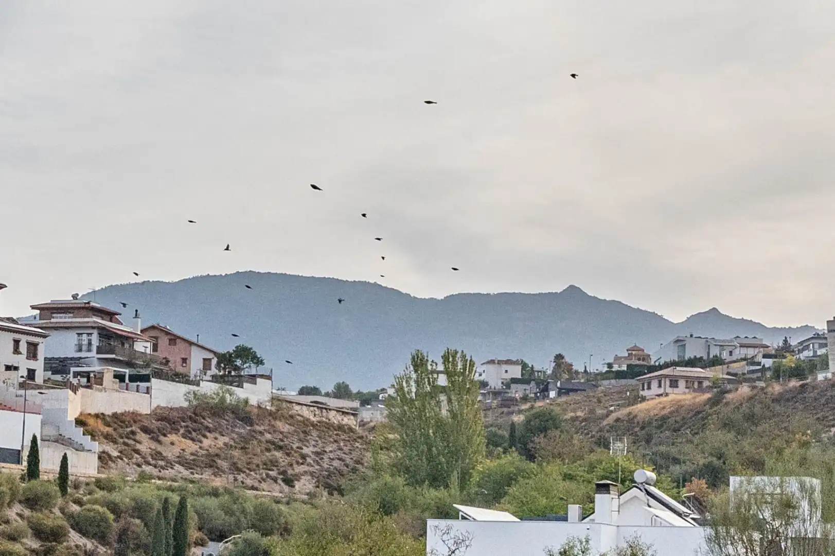 Exterior view of Residential for sale in La Zubia