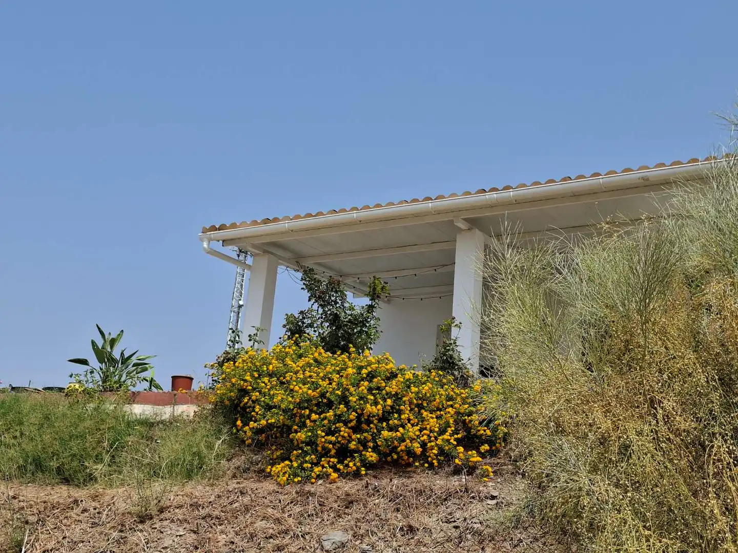 Exterior view of Country homes for rent in Torrox  with Terrace and Furnished