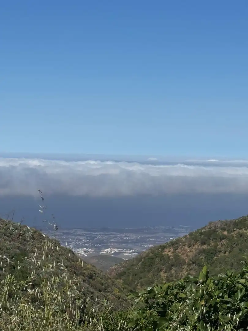Vista exterior de Finca rústica en venta en Telde