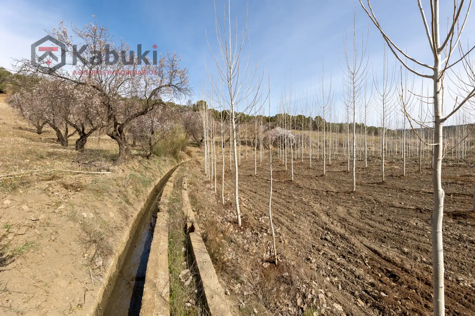 Terreni e lotti in vendita a Guadix - AUTE. VALLE DEL ZALABI, imagen 6