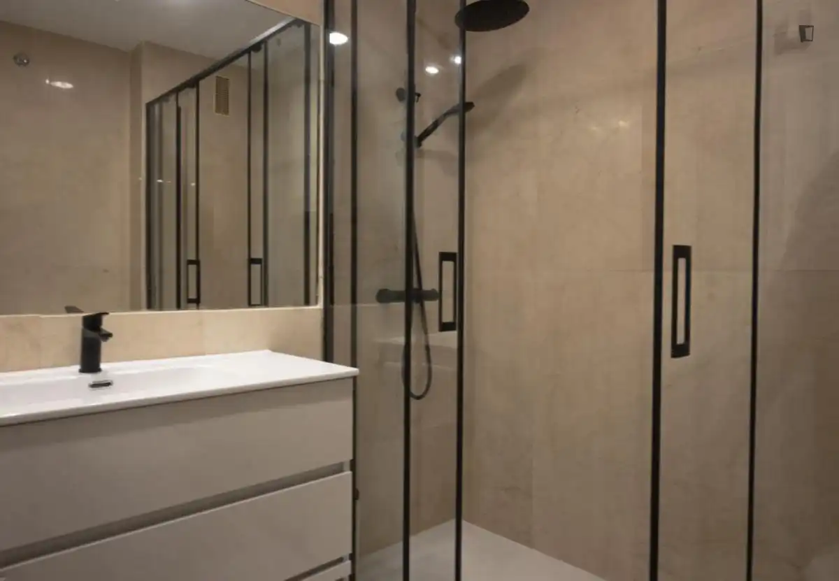 Bathroom of Apartments for rent in  Madrid Capital  with Air Conditioner, Furnished and Oven