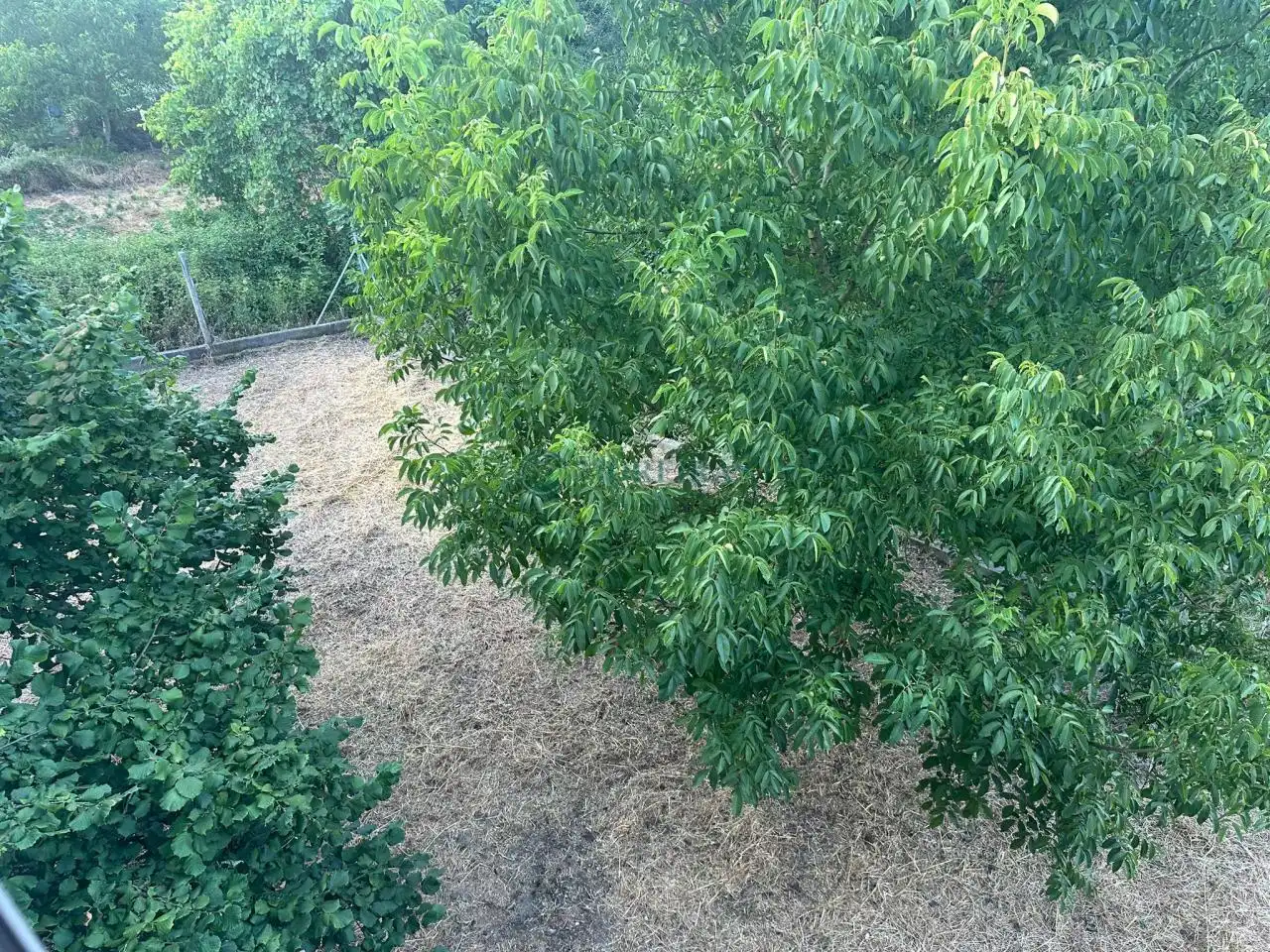 Casa o xalet en venda en Barbadás amb Calefacció, Jardí privat i Balcó