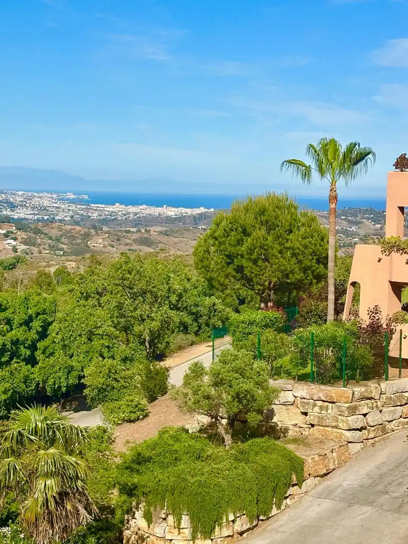 Penthouse with lift for sale in La Mairena, imagen 6