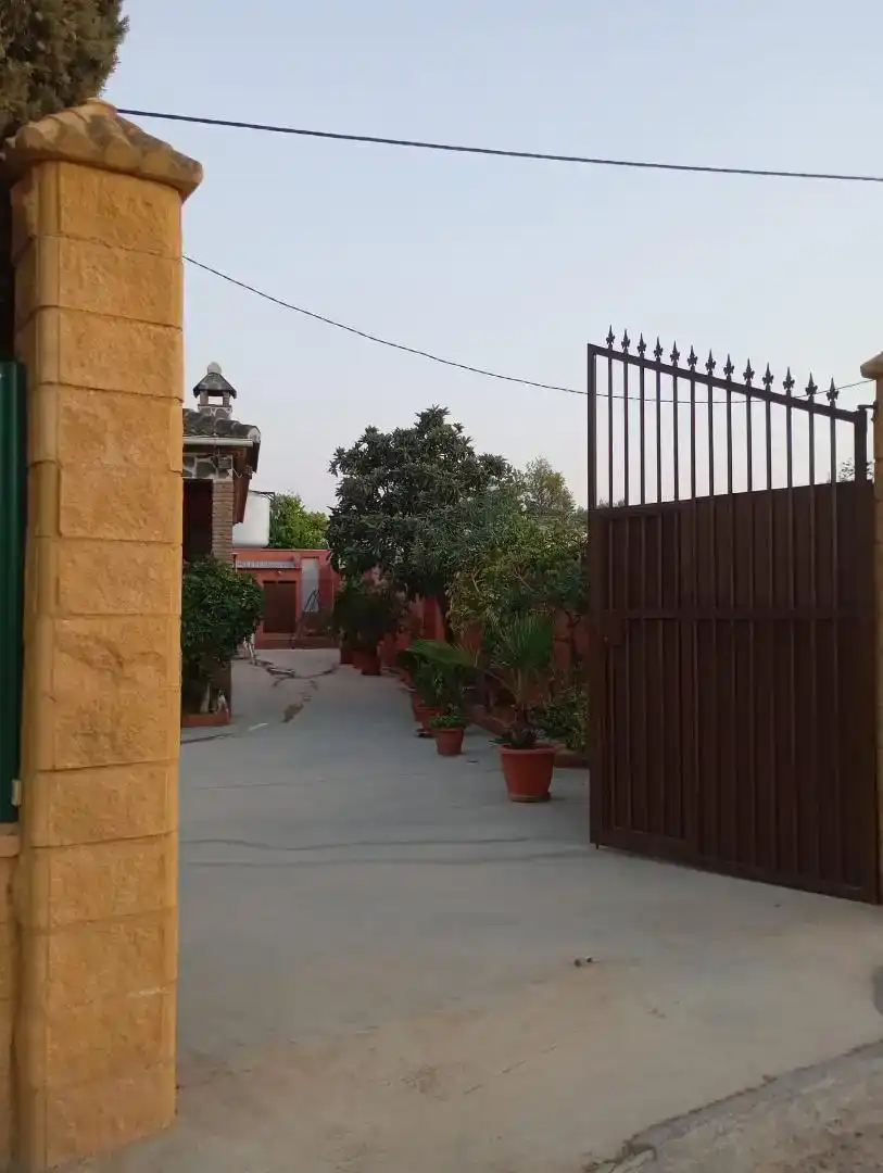 Vista exterior de Casa o chalet en venta en Casariche con Aire acondicionado