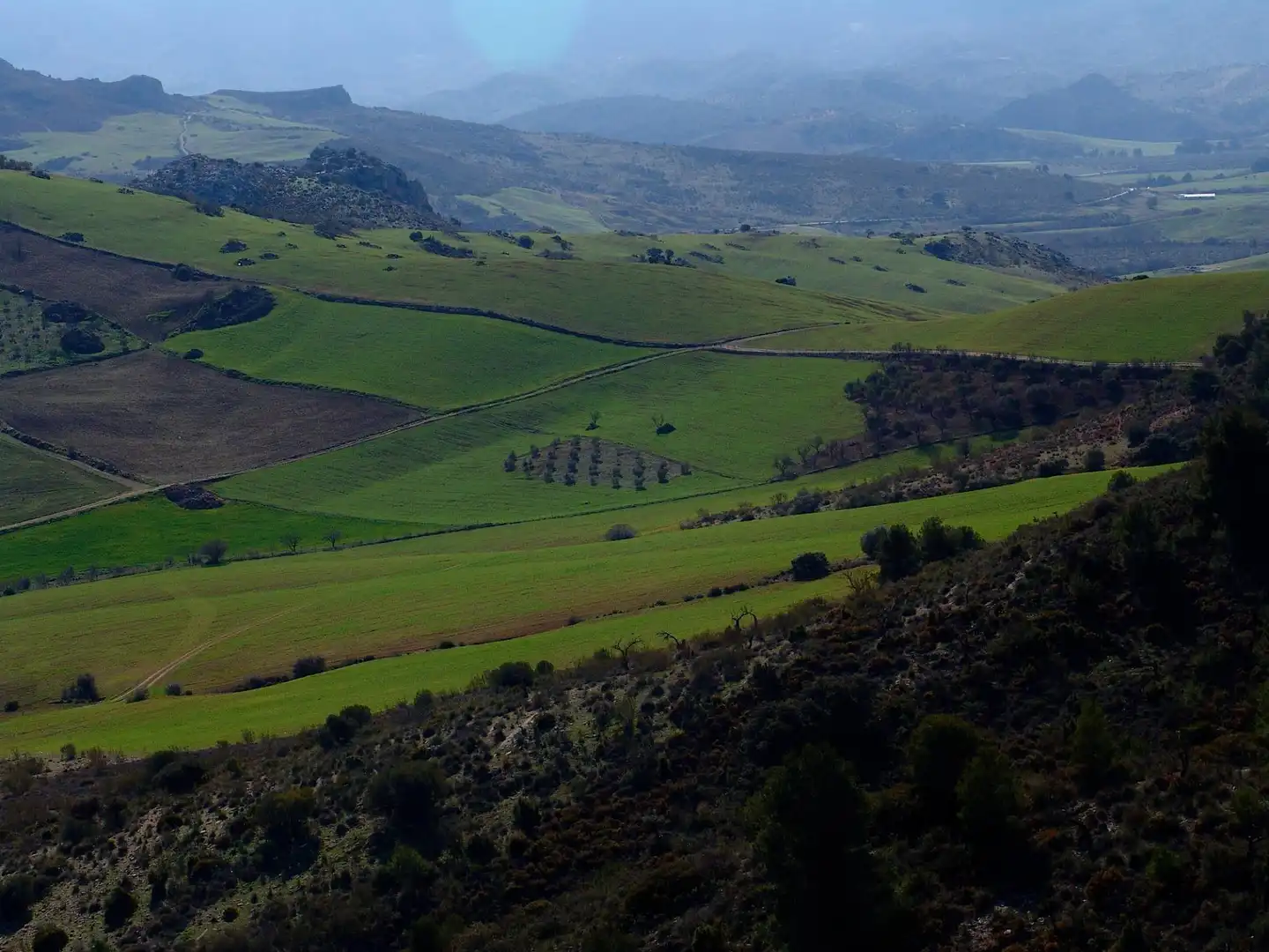 Terreno residenziale in vendita a Ardales, imagen 19