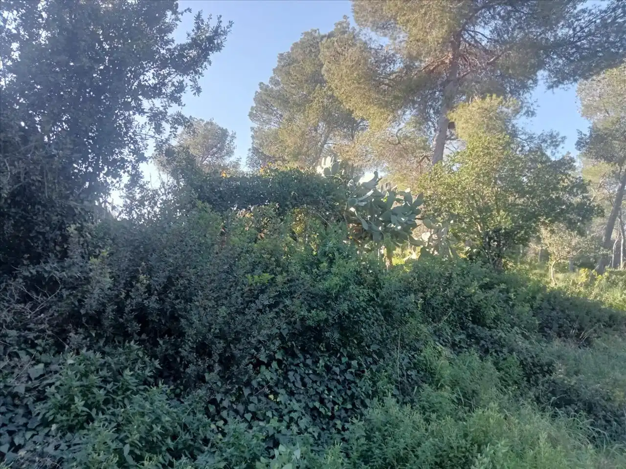 Residential land for sale in Olivella, imagen 3