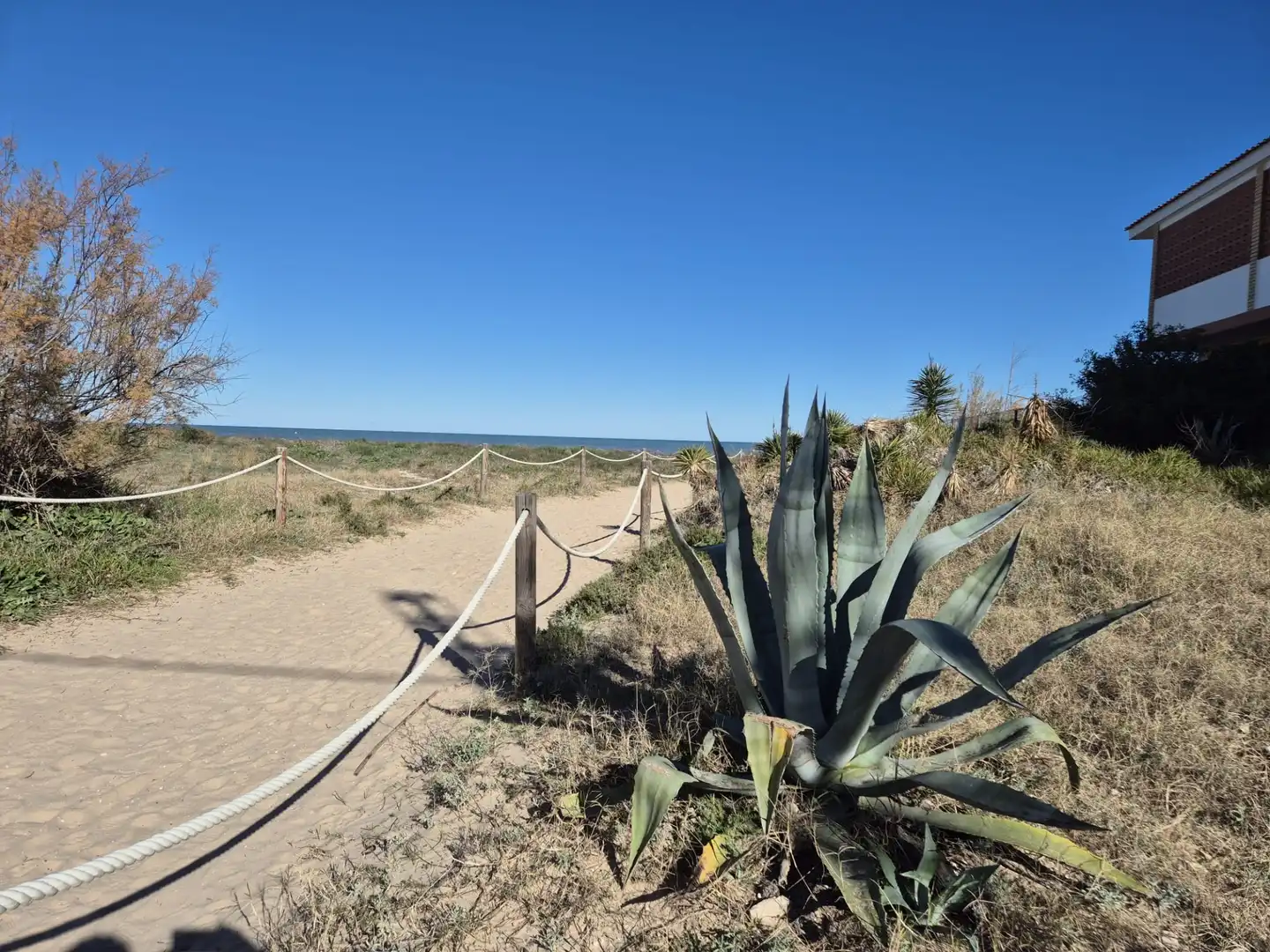 Vista exterior de Casa o chalet en venta en Dénia con Aire acondicionado, Calefacción y Jardín privado