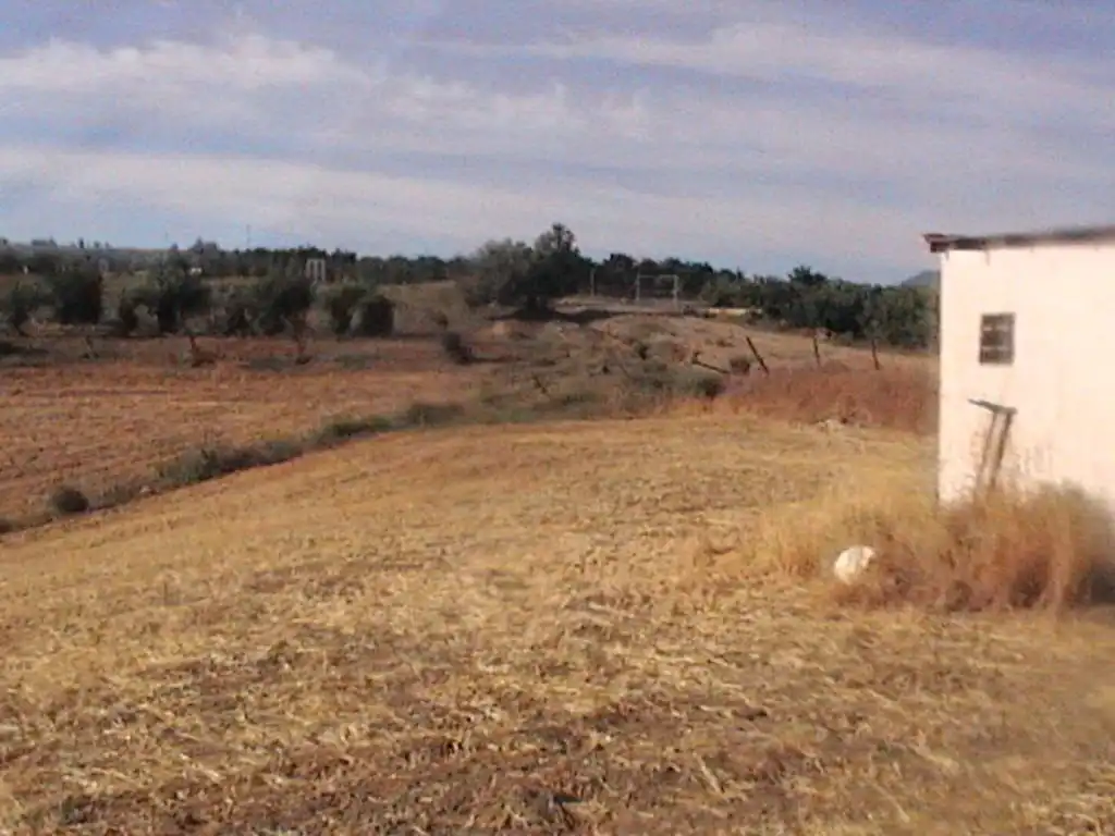 Terreno residenziale in vendita a Avenida Reina Sofía 14D, imagen 5