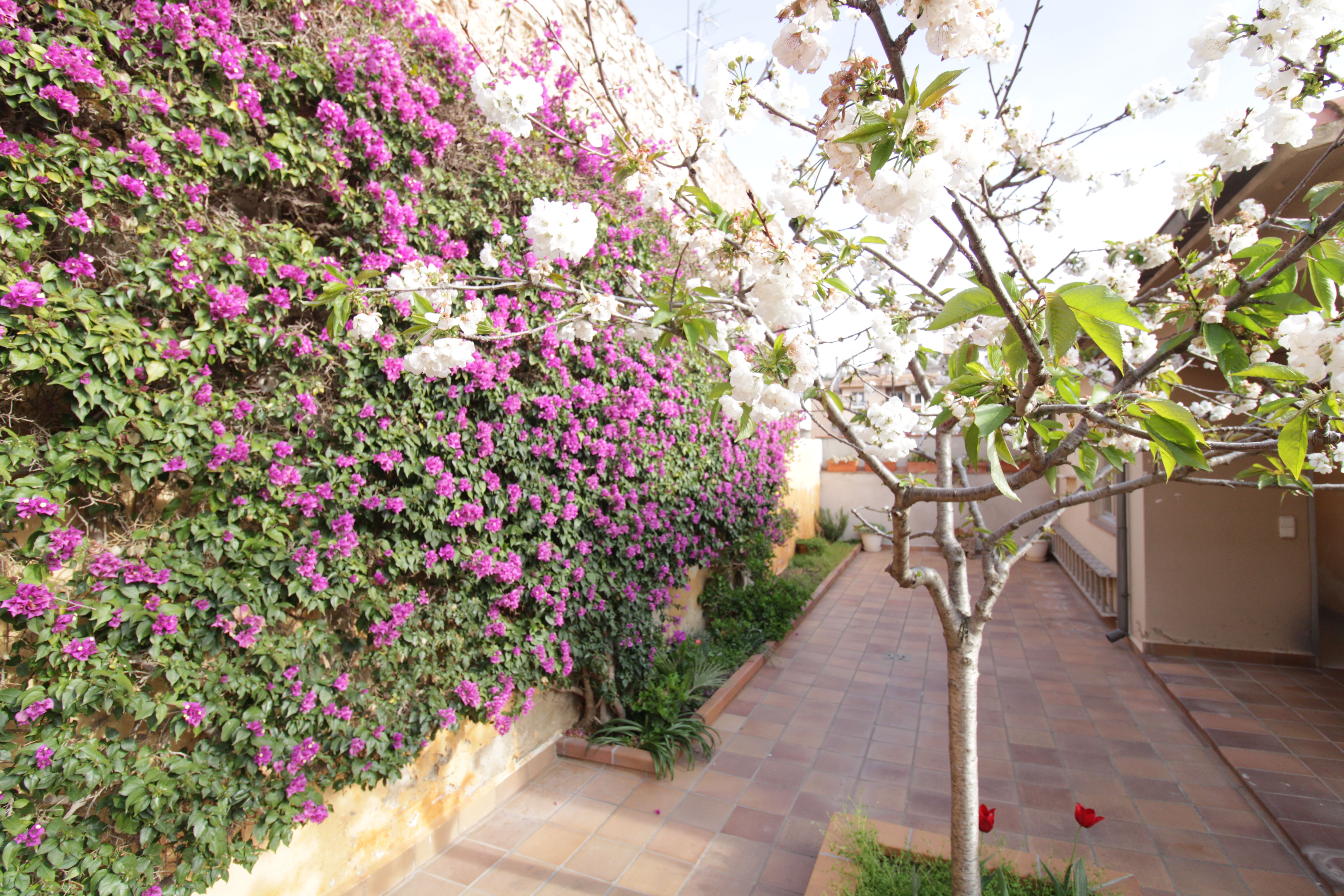 Casa adosada de lloguer a Carrer de Caldes, 80, Poble - Casc Antic
