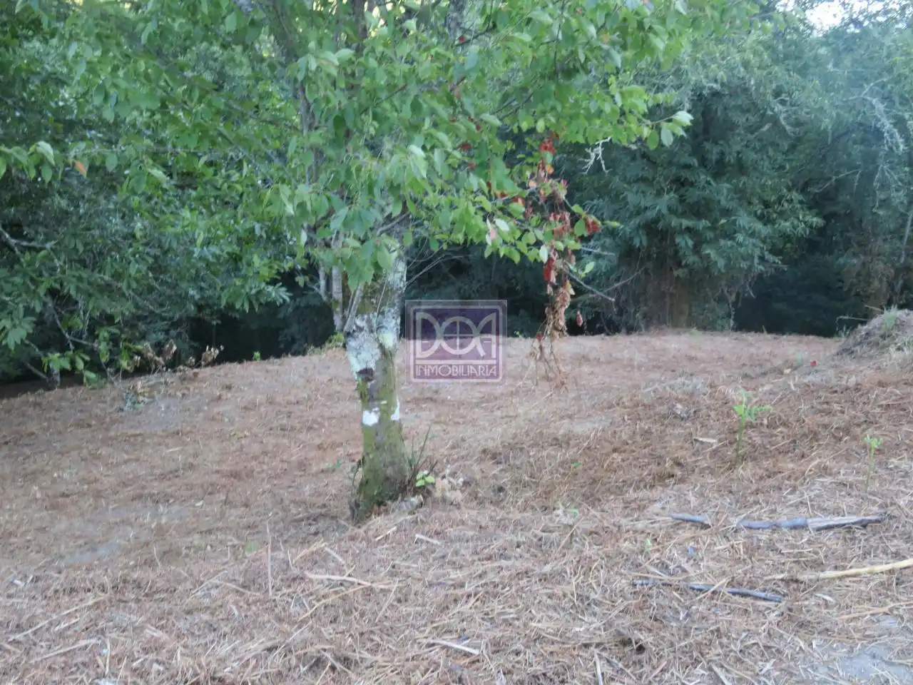 Casa rústica amb jardí en venda a Mondariz, imagen 16