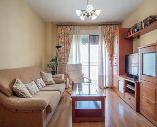 Sala d'estar de Pis en venda en San Fernando amb Aire condicionat, Parquet i Terrassa