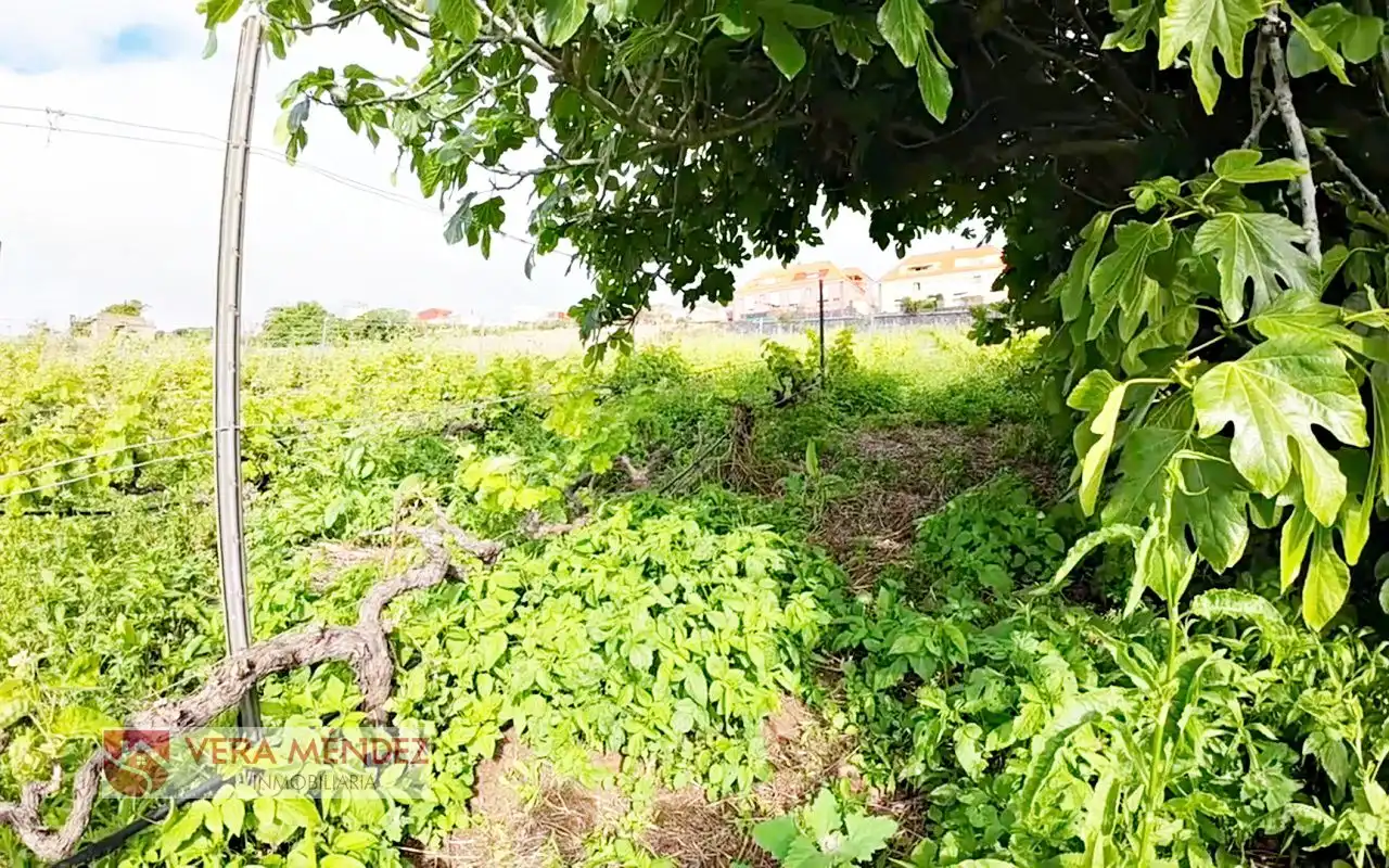 Finca rústica en venta en El Sauzal