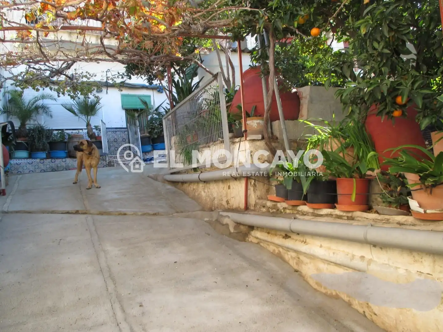 Vista exterior de Casa o chalet en venta en Rojales con Jardín privado, Terraza y Trastero