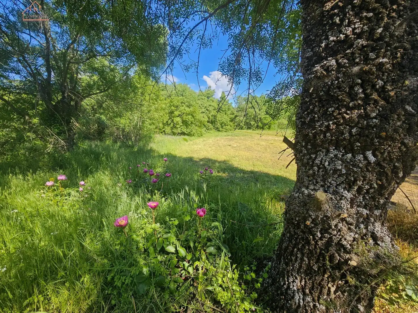 Terreno rustico in vendita a Valdemorillo pueblo, imagen 15