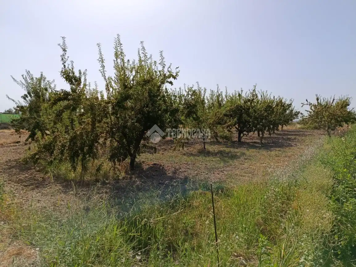 Wohnbaugrundstück zum Verkauf in Gójar, imagen 9