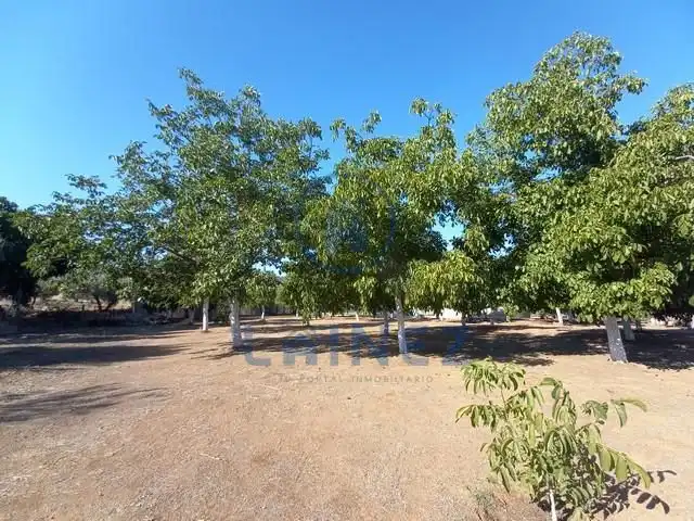 Terreny residencial en venda a Belmez, imagen 18
