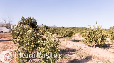 Foto 3 de Terreno en venta en Urbanizacion Pla de Andanes, Los Pinares - La Masia, Bétera