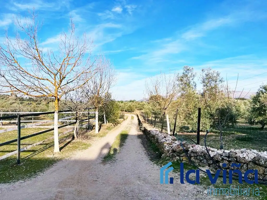 Vista exterior de Casa o chalet en venta en Málaga con Jardín privado, Terraza y Trastero