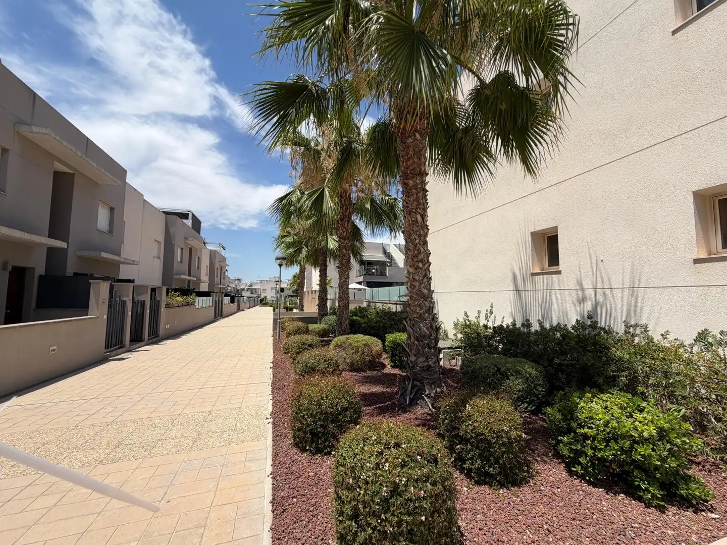 Piano terra in vendita a Nueva Torrevieja - Aguas Nuevas, imagen 30
