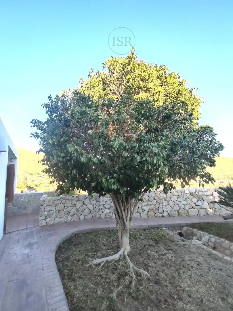 Garden of Houses for sale in Alcóntar  with Air Conditioner, Heating and Private garden