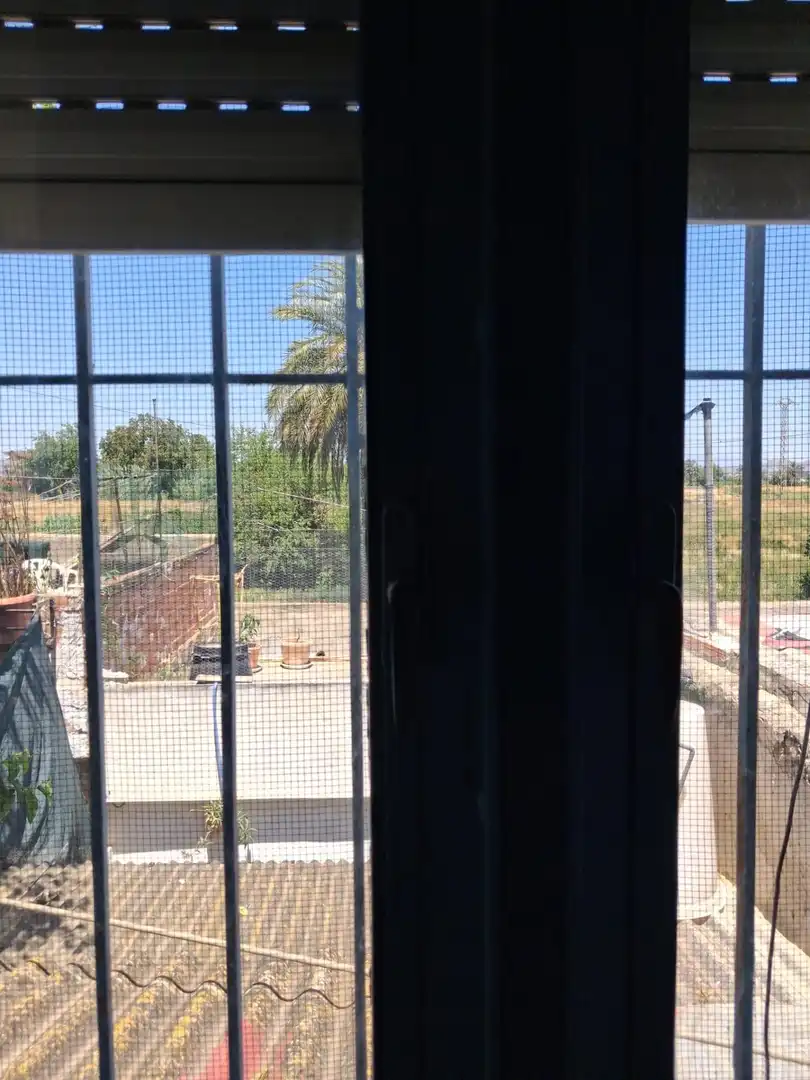 Exterior view of Houses for sale in Murcia  with Terrace, Storage room and Furnished