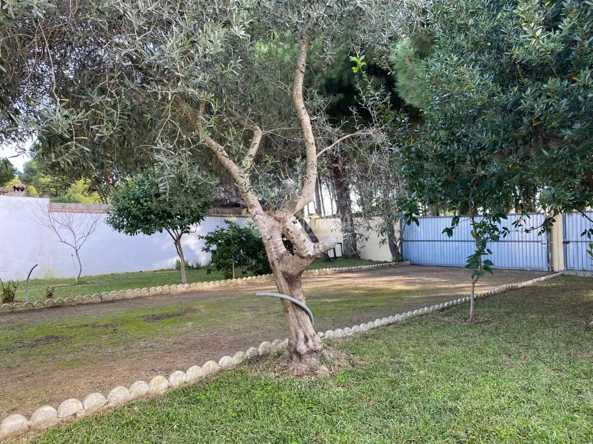 Jardín de Finca rústica en venta en Chiclana de la Frontera