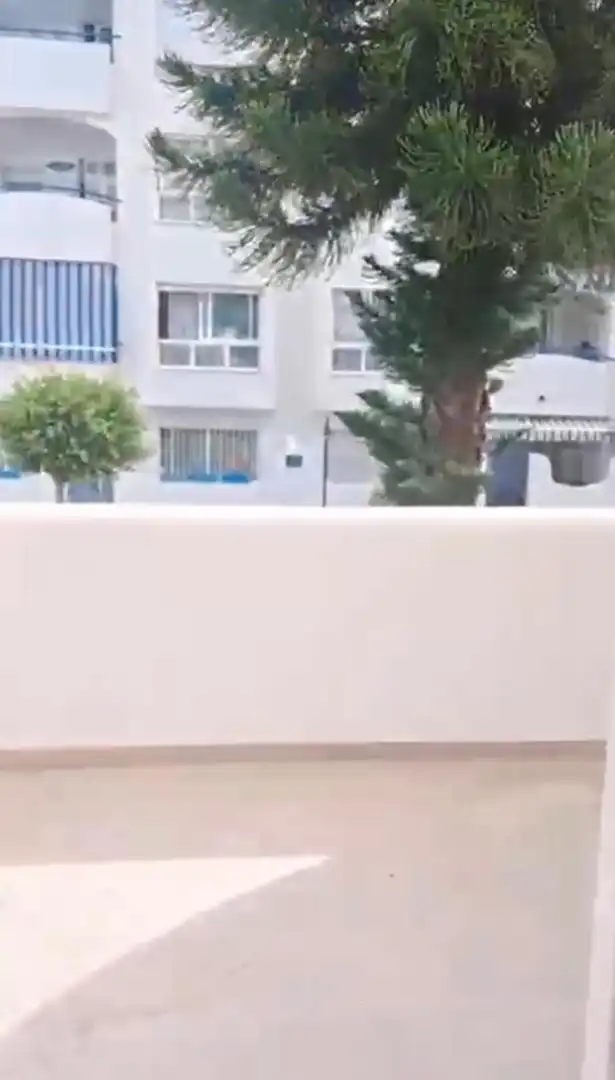 Piso con piscina en alquiler en Avenida Avenida Mar y Sol, imagen 15