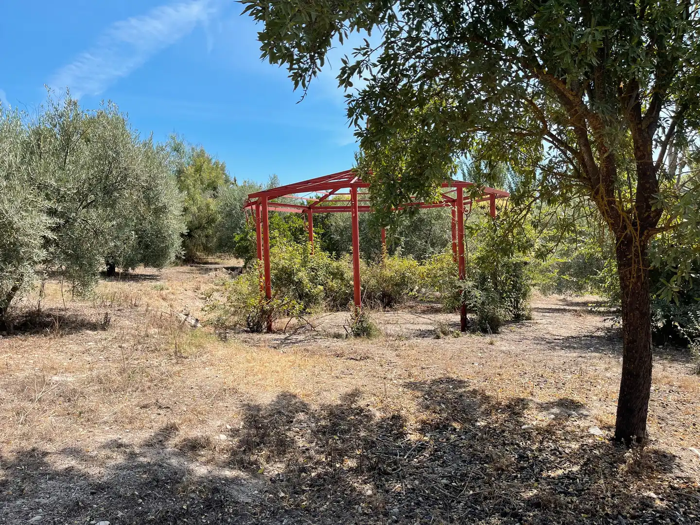 Terrenos y solares en venta en Úbeda, imagen 7