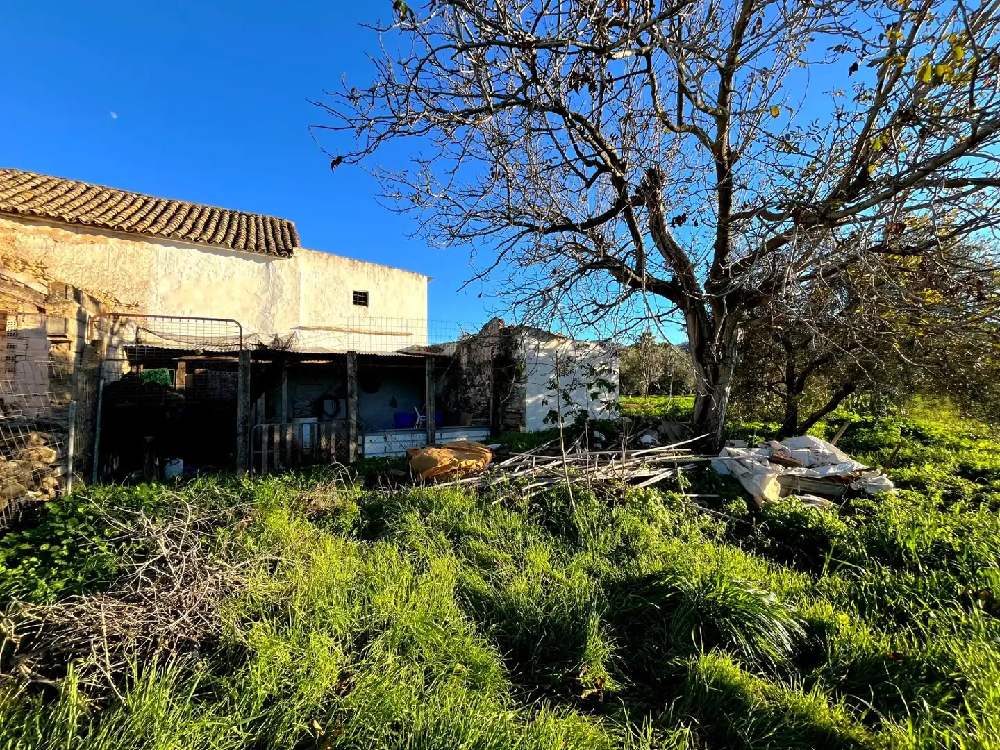 Exterior view of Houses for sale in Antequera