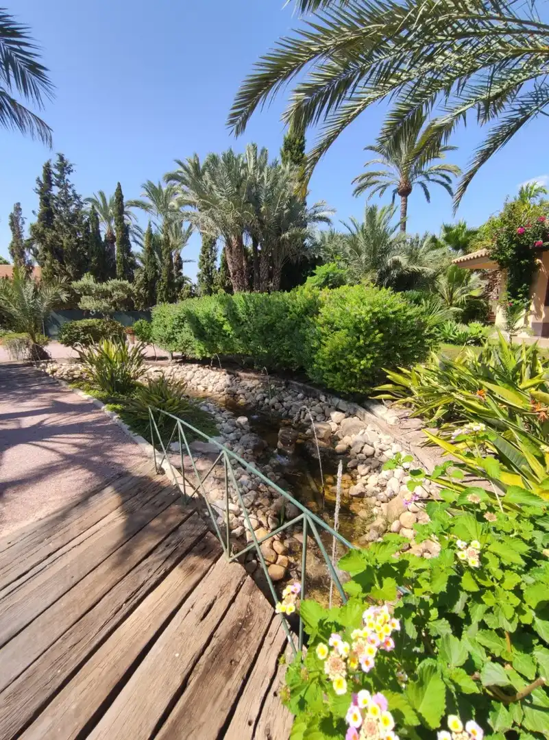Jardí de Casa o xalet en venda en Elche / Elx amb Aire condicionat, Calefacció i Jardí privat