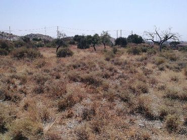 Terreni e lotti in vendita a Huércal-Overa