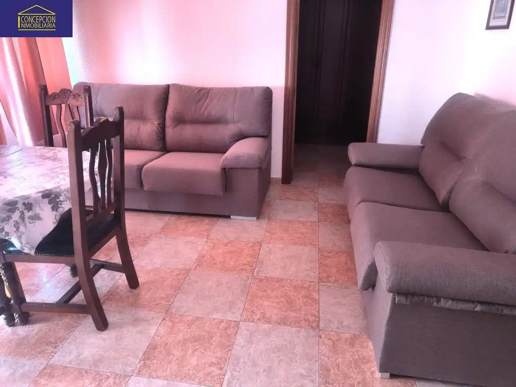 Piso con ascensor en alquiler en Poniente-Sur, imagen 4