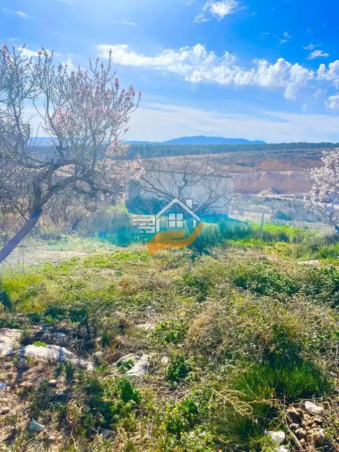 Casa rústica en venta en Vélez-Blanco, imagen 13