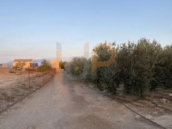 Terrenys i solars en venda a Huércal-Overa, imagen 18